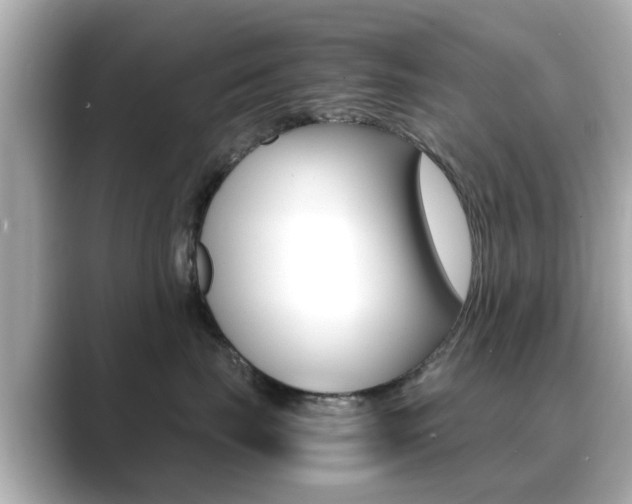 X0000089690671200706210835