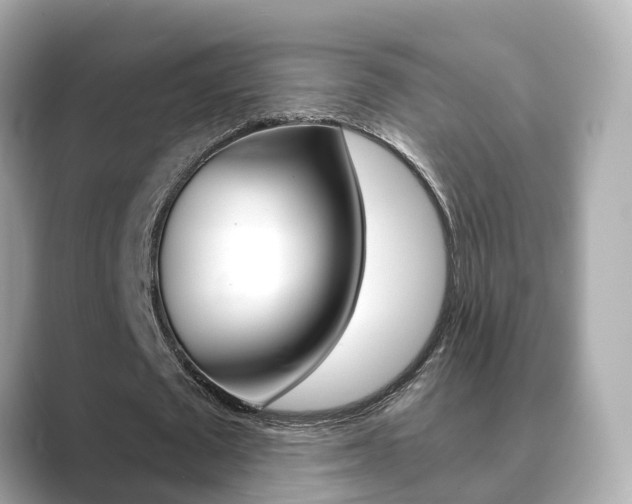 X0000089690673200706210834