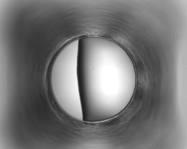 X0000089690674200706210834