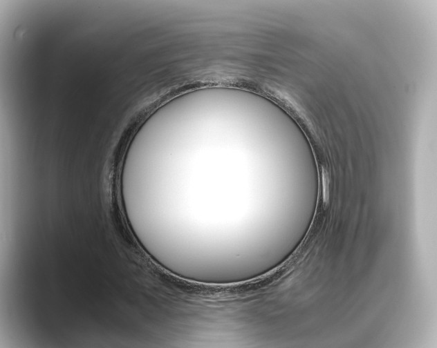 X0000089690675200706210834