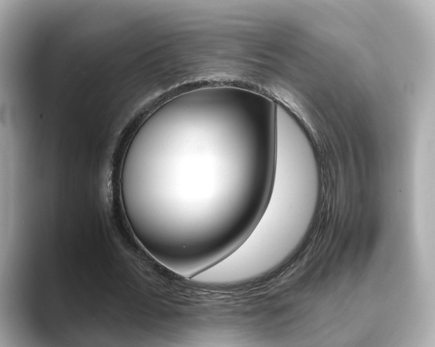 X0000089690676200706210834