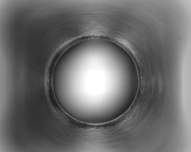 X0000089690680200706210834