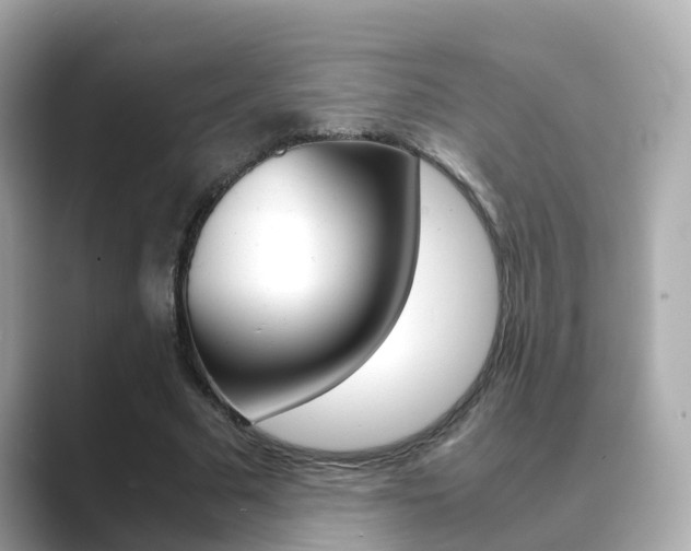 X0000089690681200706210834