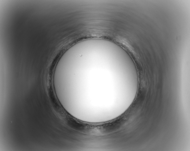 X0000089690683200706210834