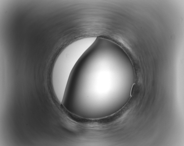X0000089690685200706210834