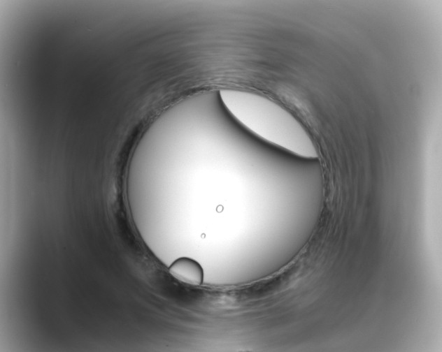 X0000089690687200706210834