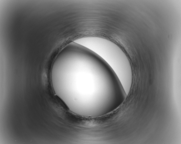 X0000089690688200706210834