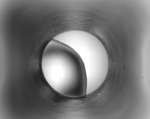 X0000089690689200706210834