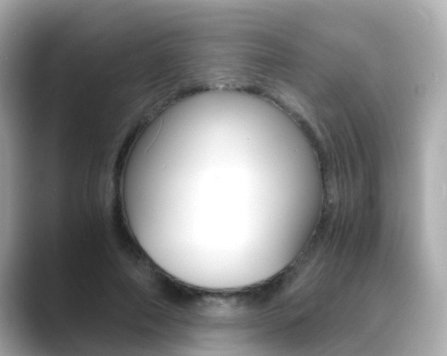 X0000089690690200706210834
