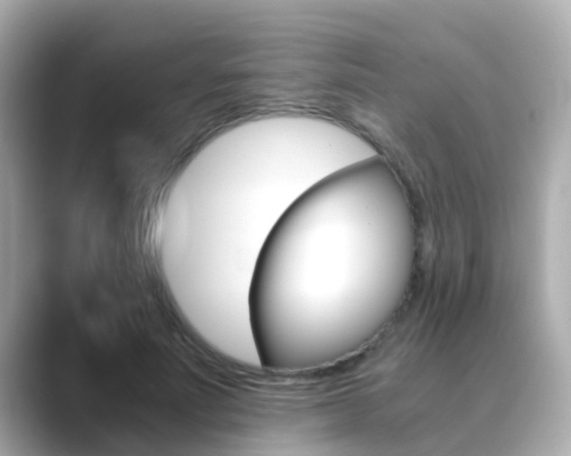 X0000089690691200706210834