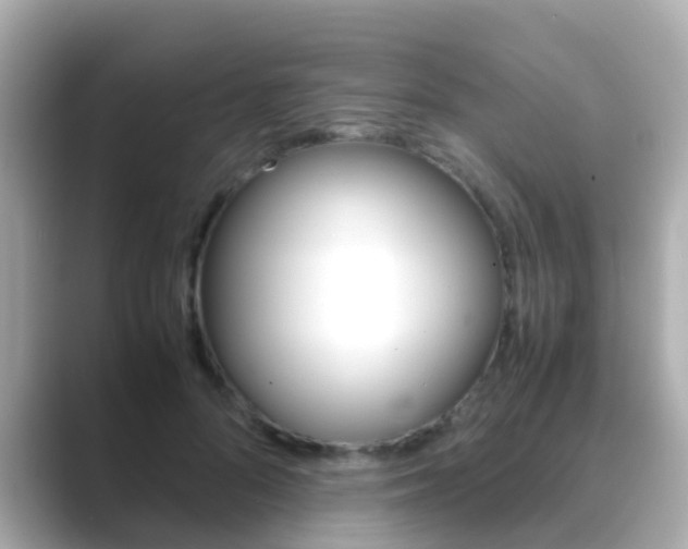 X0000089690696200706210834