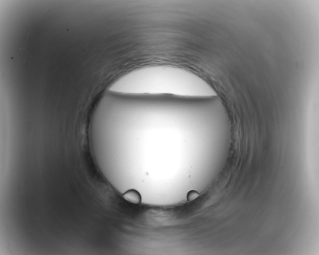 X0000089690699200706210834