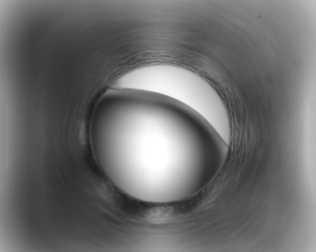 X0000089690700200706210834