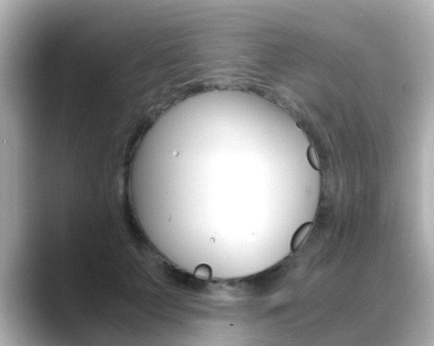 X0000089690703200706210834