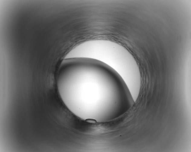 X0000089690704200706210834