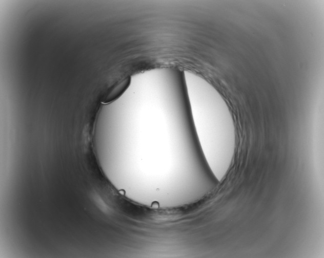 X0000089690707200706210834
