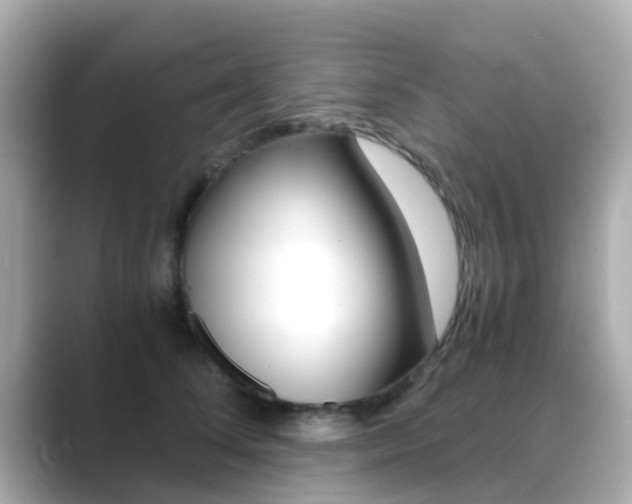 X0000089690708200706210834
