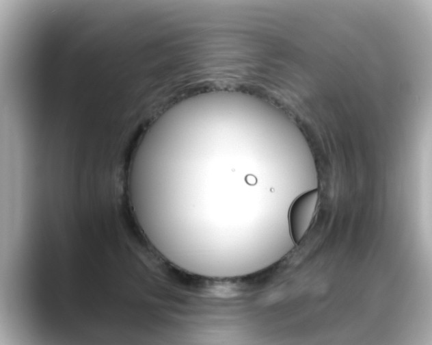 X0000089690710200706210834