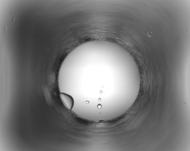 X0000089690711200706210834