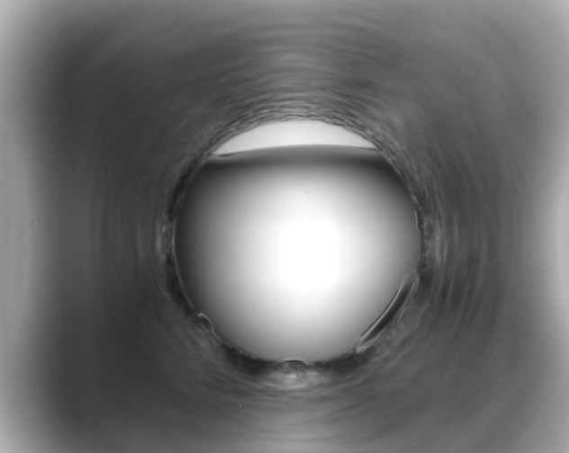 X0000089690712200706210834