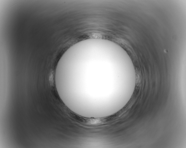 X0000089690717200706210834