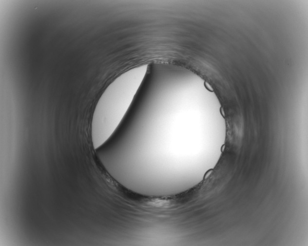 X0000089690718200706210834