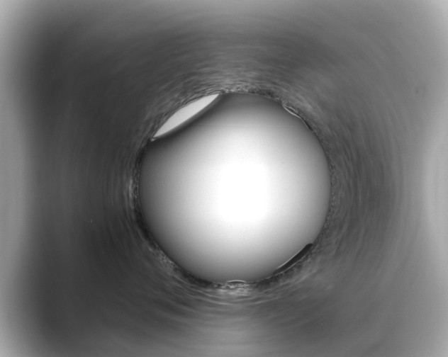 X0000089690720200706210834