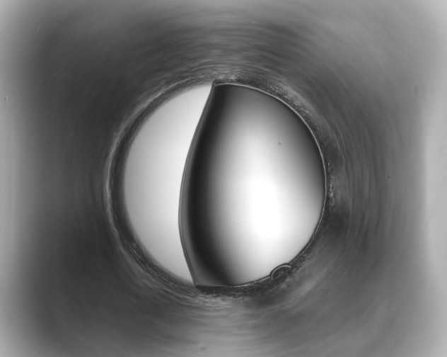 X0000089690722200706210833