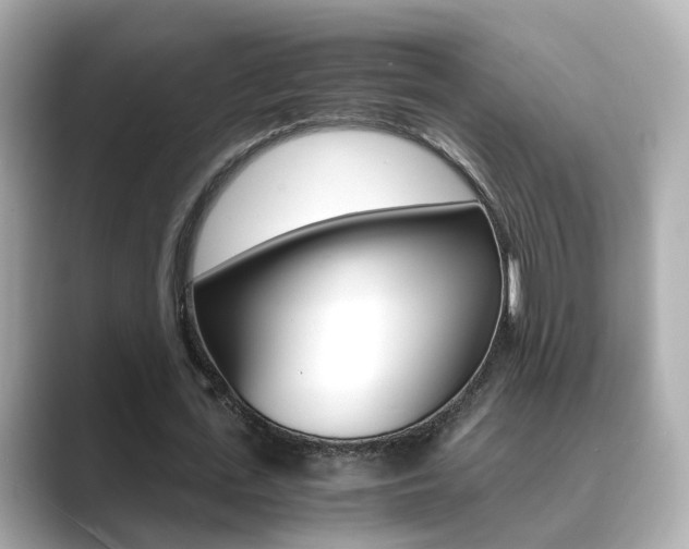 X0000089690723200706210833
