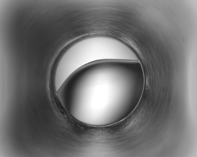 X0000089690724200706210833
