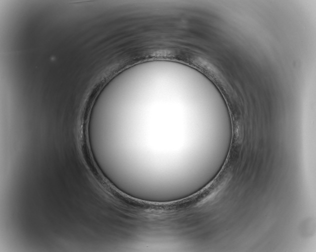 X0000089690725200706210833