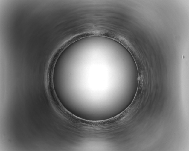 X0000089690726200706210833