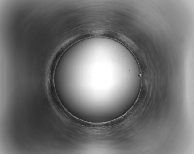 X0000089690728200706210833