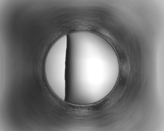 X0000089690729200706210833
