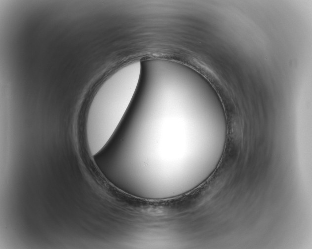 X0000089690730200706210833