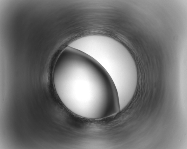 X0000089690732200706210833