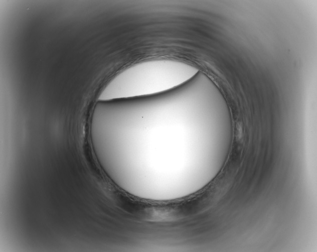 X0000089690733200706210833