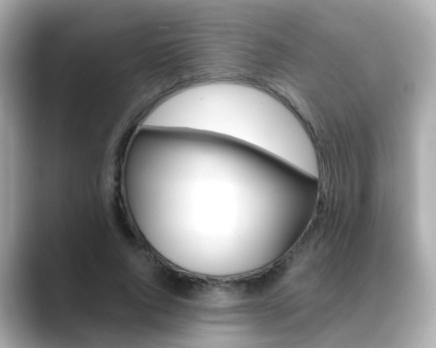 X0000089690736200706210833