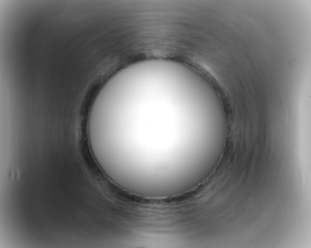 X0000089690738200706210833