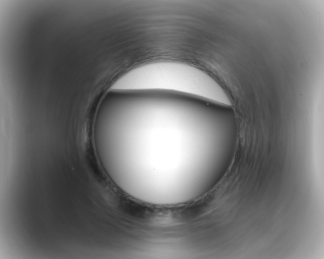X0000089690740200706210833