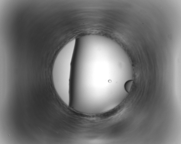 X0000089690745200706210834