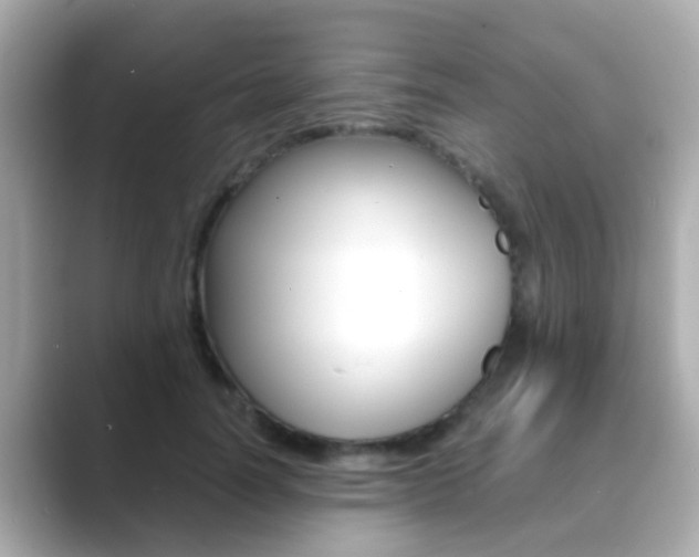 X0000089690746200706210834