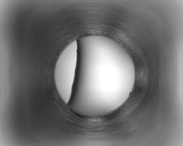 X0000089690749200706210834