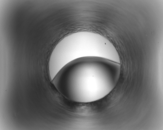 X0000089690750200706210834