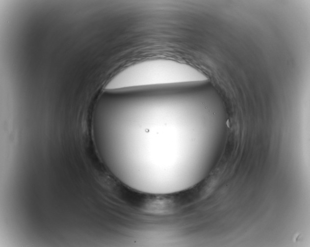 X0000089690754200706210834