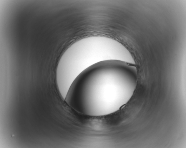 X0000089690756200706210834
