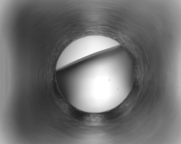 X0000089690758200706210834