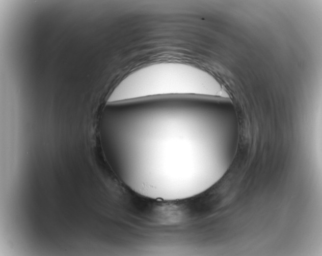 X0000089690759200706210834