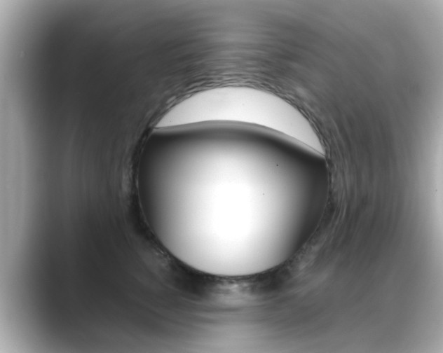 X0000089690760200706210834