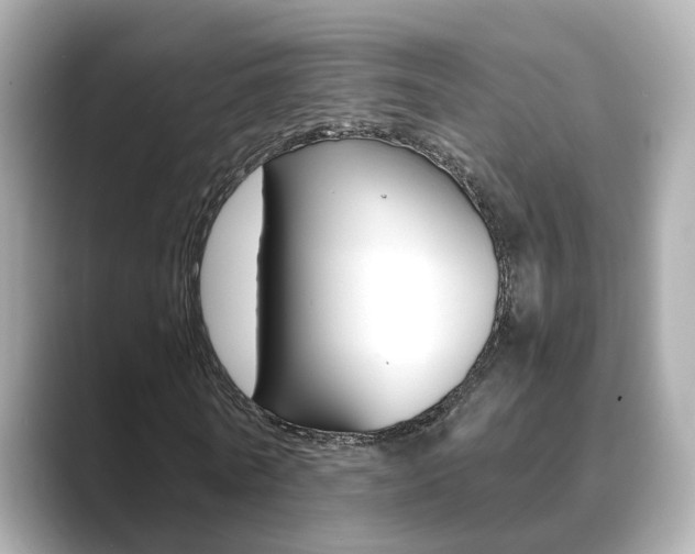 X0000089690770200706210833